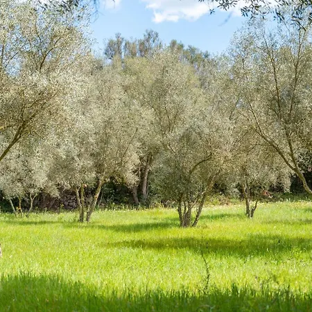 Casa vacanze Casa Pina